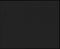 Nástup na běžecké tratě