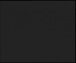 Nástup na běžecké tratě