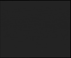 Nástup na běžecké tratě