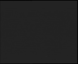 Nástup na běžecké tratě