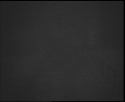 Nástup na běžecké tratě