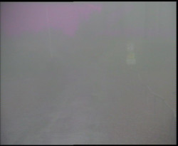 Nástup na běžecké tratě