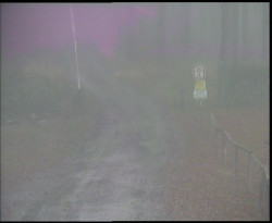 Nástup na běžecké tratě