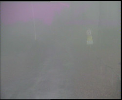 Nástup na běžecké tratě