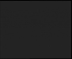 Nástup na běžecké tratě