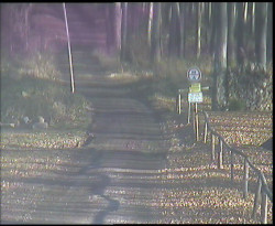 Nástup na běžecké tratě