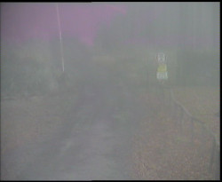 Nástup na běžecké tratě