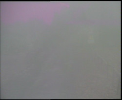 Nástup na běžecké tratě