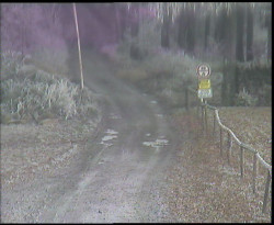 Nástup na běžecké tratě