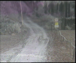 Nástup na běžecké tratě