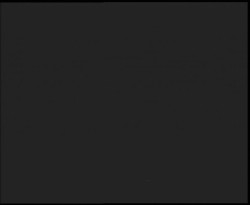 Nástup na běžecké tratě