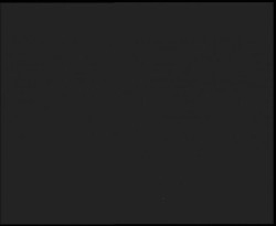 Nástup na běžecké tratě