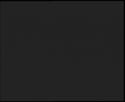 Nástup na běžecké tratě