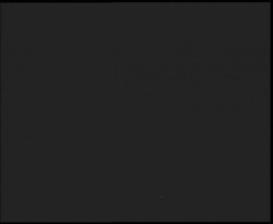 Nástup na běžecké tratě