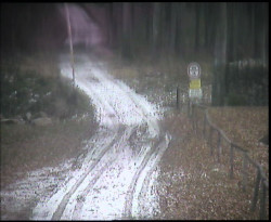 Nástup na běžecké tratě