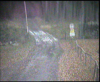 SkiAreál - Horský hotel...