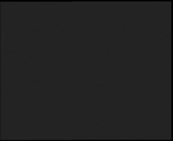 Nástup na běžecké tratě