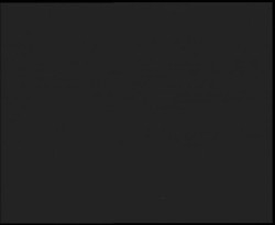 Nástup na běžecké tratě