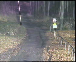 Nástup na běžecké tratě