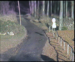 Nástup na běžecké tratě