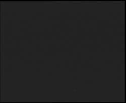 Nástup na běžecké tratě