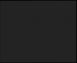 Nástup na běžecké tratě