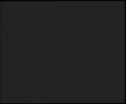 Nástup na běžecké tratě