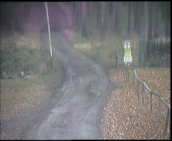 Nástup na běžecké tratě