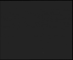 Nástup na běžecké tratě