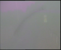 Nástup na běžecké tratě