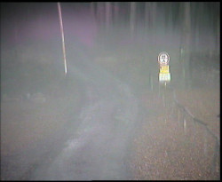 Nástup na běžecké tratě