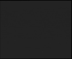 Nástup na běžecké tratě