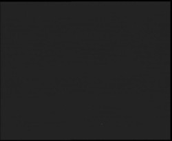 Nástup na běžecké tratě