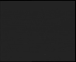 Nástup na běžecké tratě