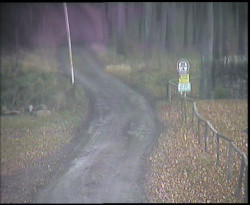 Nástup na běžecké tratě