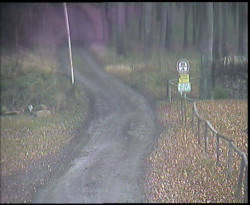 Nástup na běžecké tratě