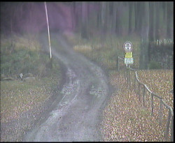 Nástup na běžecké tratě