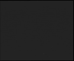 Nástup na běžecké tratě