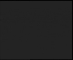 Nástup na běžecké tratě