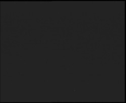 Nástup na běžecké tratě