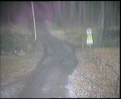 Nástup na běžecké tratě