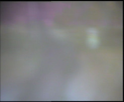 Nástup na běžecké tratě