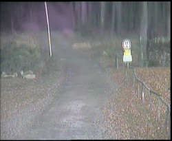 Nástup na běžecké tratě