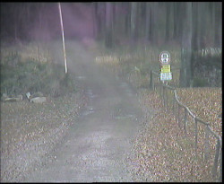 Nástup na běžecké tratě