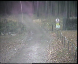 Nástup na běžecké tratě