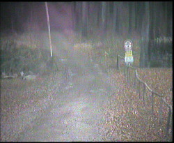 Nástup na běžecké tratě