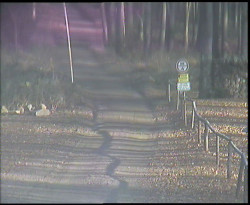 Nástup na běžecké tratě