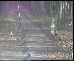 Nástup na běžecké tratě