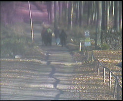 Nástup na běžecké tratě