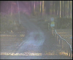 Nástup na běžecké tratě